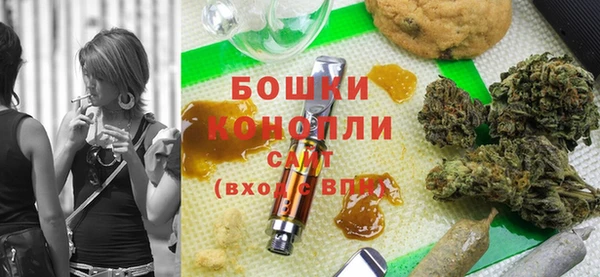 стаф Нефтегорск