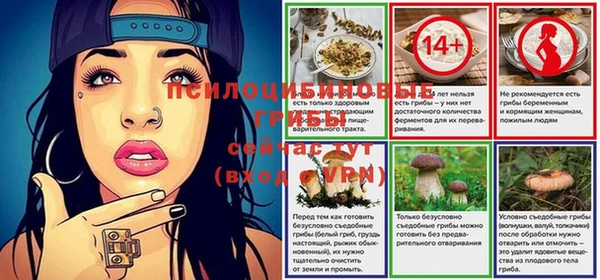 2c-b Абинск