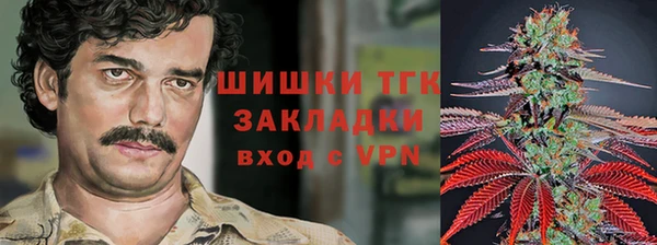 МДПВ Абаза